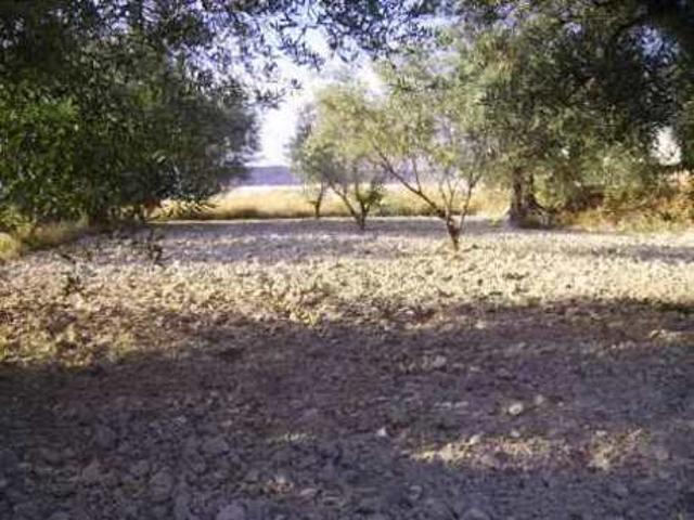 Terreno Urbanizable En venta en Calasparra, Calasparra photo 0