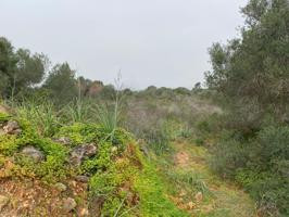 Porto Colom con vistas al mar, finca edificable photo 0