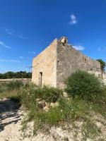 Finca edificable zona Sa Rotana de Manacor photo 0