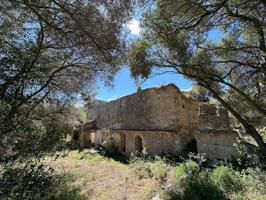 Se vende terreno con casa agrícola a reformar photo 0