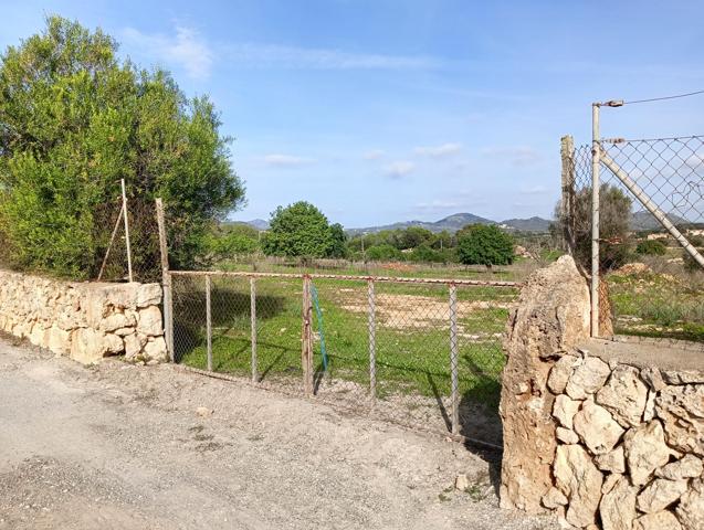 CP1243 SOLAR EDIFICABLE  SON CARRIO-SANT LLORENÇ photo 0