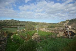 TERRENO RÚSTICO EN ES MIGJORN GRAN photo 0