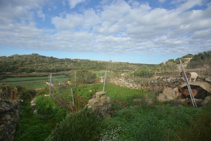 TERRENO RÚSTICO EN ES MIGJORN GRAN photo 0