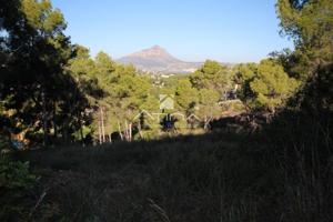 Terreno Urbanizable En venta en La Granadella - Costa Nova, Jávea-xàbia photo 0