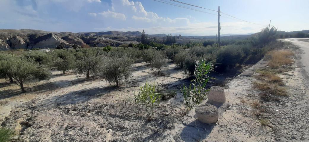 Terreno Urbanizable En venta en Campos Del Río, Campos Del Rio photo 0