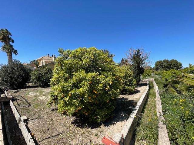 TERRENO URBANO HUERTA DE LA ERA ALTA photo 0