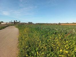 Terreno en venta en El Viso del Alcor junto a autovía. photo 0