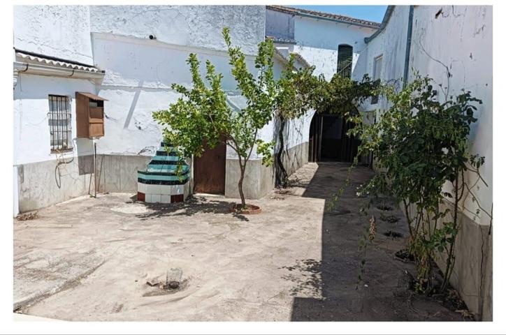Amplia y luminosa casa de pueblo situada en Las Navas de la Concepción photo 0