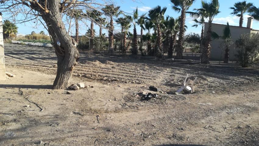 SE VENDE PARCELA RUSTICA EN LA ZONA DE SAN FULGENCIO photo 0