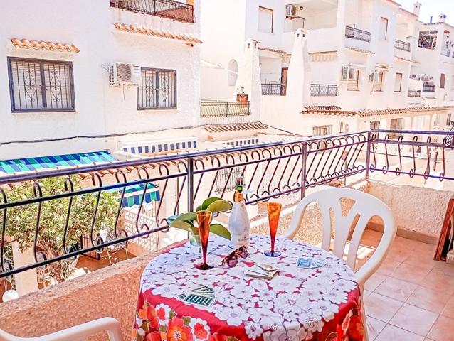 APARTAMENTO DE 1 DORMITORIO EN TORREVIEJA CERCA DE LA PLAYA photo 0