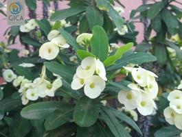 Fabuloso piso en buena zona en Algeciras photo 0