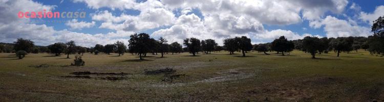 FINCA DE ENCINAS CON CORTIJO Y NAVES photo 0