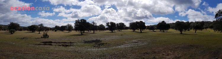 FINCA DE ENCINAS CON CORTIJO Y NAVES photo 0