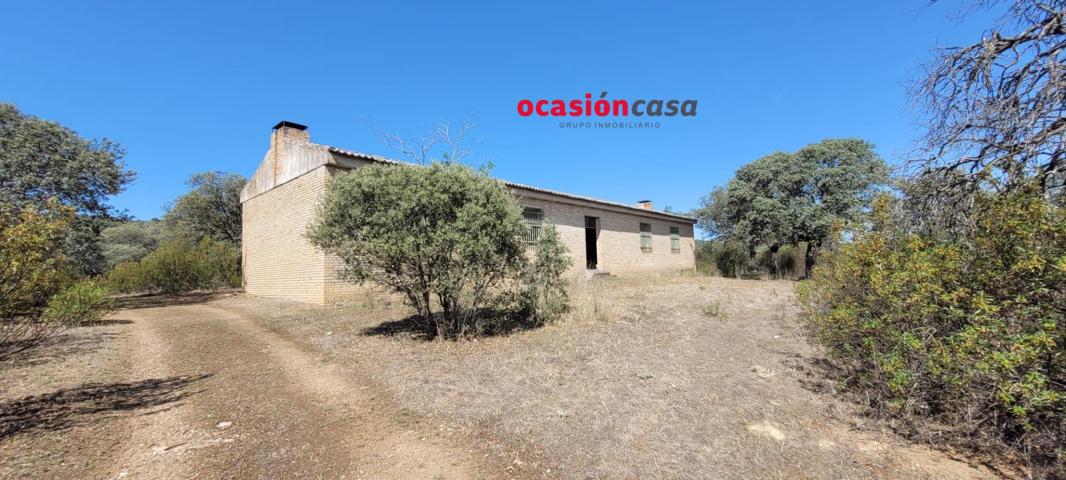 PARCELA CON NAVE EN VENTA photo 0