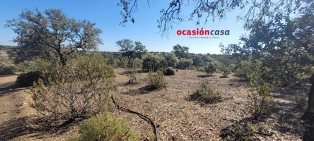 SE VENDE PARCELA A PIE DE CARRETERA EN EL CALATRAVEÑO photo 0