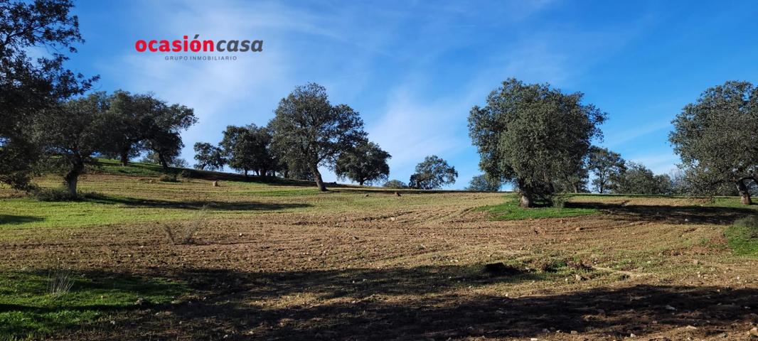 FINCA RÚSTICA EN PEDROCHE photo 0