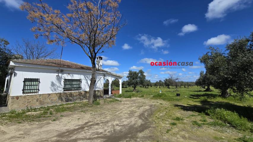 CHALET CON NAVE Y OLIVAR EN VENTA photo 0