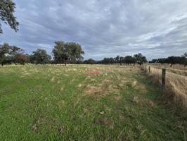 FINCA DE ENCINAR EN TORRECAMPO photo 0