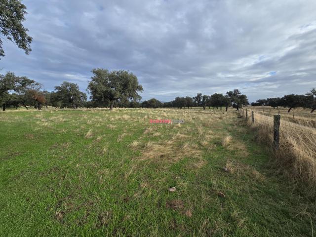 FINCA DE ENCINAR EN TORRECAMPO photo 0