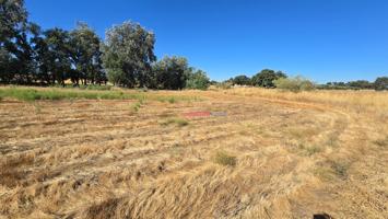 PARCELAS RUSTICAS EN VENTA EN ALCARACEJOS photo 0