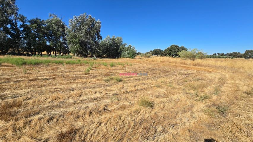 PARCELAS RUSTICAS EN VENTA EN ALCARACEJOS photo 0