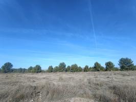 Terreno Urbanizable En venta en Zona Industrial, Daimiel photo 0