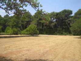 Gran terreno rústico de 20.000 m² en Torrecarrals photo 0
