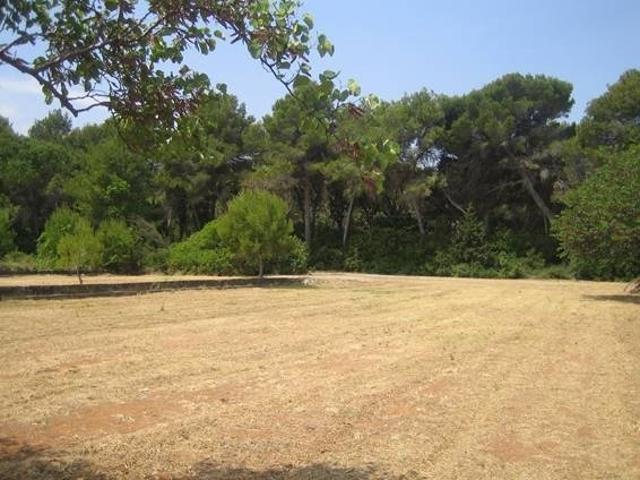 Gran terreno rústico de 20.000 m² en Torrecarrals photo 0