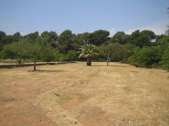 Gran terreno rústico de 20.000 m² en Torrecarrals photo 0