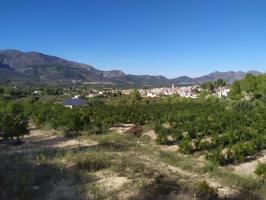 Parcela agrícola en venta en Orba photo 0