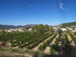 Parcela agrícola en venta en Orba photo 0