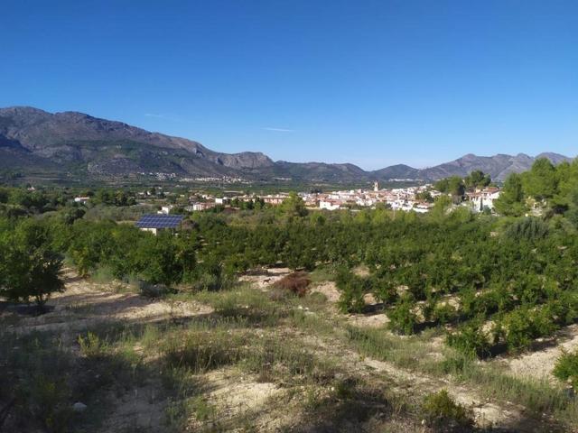 Parcela agrícola en venta en Orba photo 0