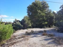 Parcela en zona Corral de calafat photo 0