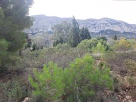 Parcela con vistas en galeretes photo 0