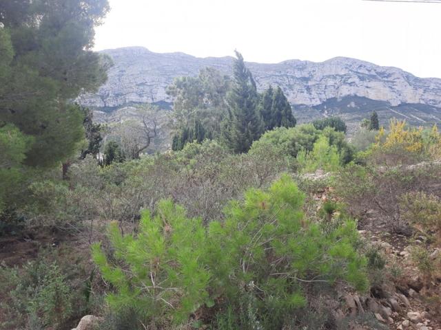 Parcela con vistas en galeretes photo 0