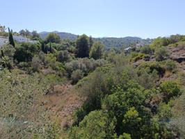 Excepcional terreno de 4.000 m² en Montepego photo 0