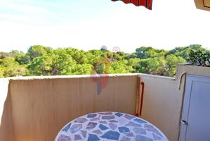 Apartamento con vistas a la pinada, trastero y plaza de garaje. photo 0