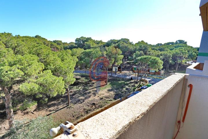 Apartamento con vistas a la pinada, trastero y plaza de garaje. photo 0