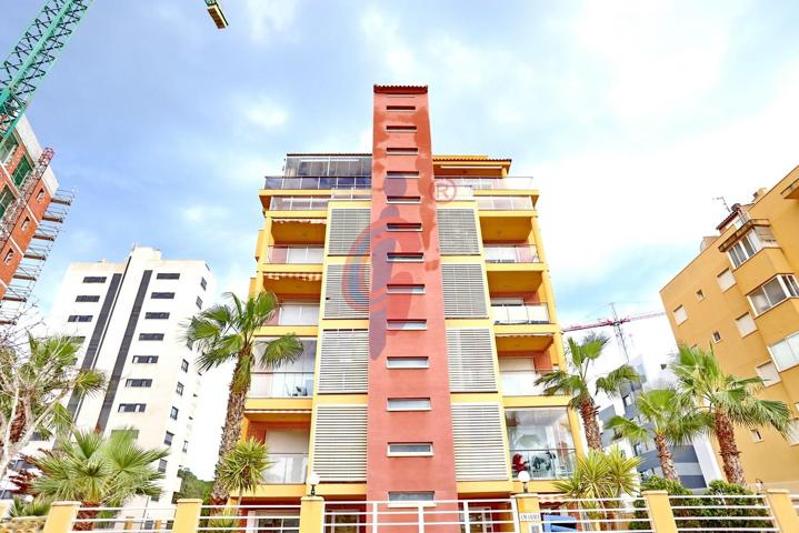 En venta bajo con dos terrazas en el SUP7 de Guardamar del Segura photo 0
