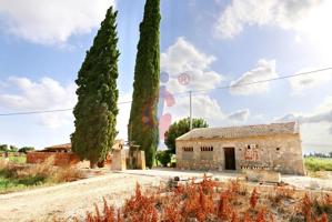 Finca rústica urbanizable con vivienda para reformar – Vega Baja, Callosa de Segura photo 0