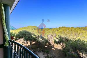 ¡Luminoso apartamento con terraza y vistas despejadas en Pinar de Guardamar, trastero y garaje incluidos en el precio! photo 0