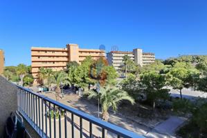 ¡Oportunidad en Pinomar! photo 0