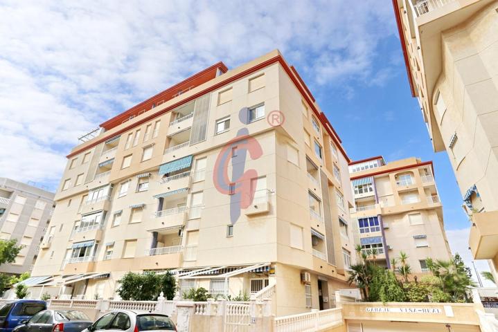 Planta baja interior en Viña Real en alquiler photo 0