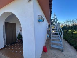 Terreno de 1800 metros con casa a pocos minutos de Jerez. photo 0