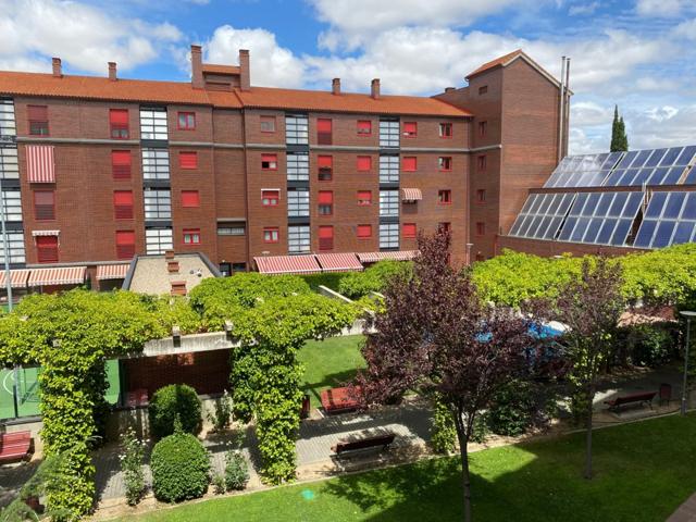 PASEO ZORRILLA, JUNTO A CAMINO VIEJO DE SIMANCAS photo 0