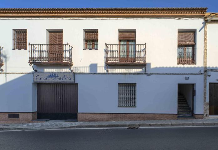 Vivienda con local en Olivares: vive, trabaja y haz realidad tu proyecto personal. photo 0