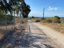 Finca con vivienda en junto a La Manga Club, zona Los Belones photo 0