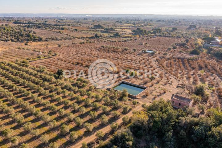 FINCAS RUSTICAS EN CASTELLVELL DEL CAMP photo 0