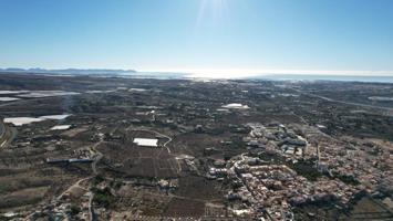 VENDE Finca en PECHINA próxima a la AUTOVÍA con cabida de 3 hectáreas. photo 0