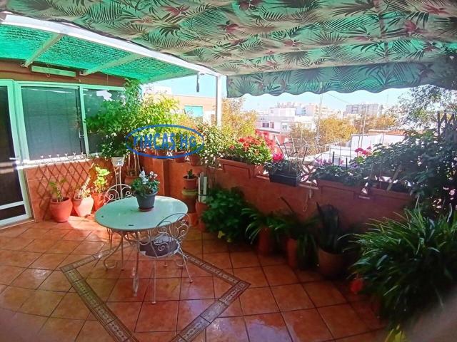 ático con vistas abiertas en Florida-Babel photo 0